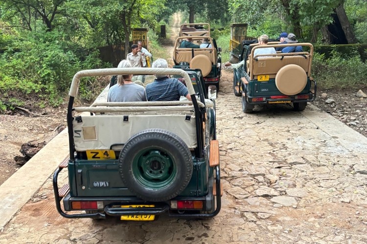 Jeep Safari at Ranthambore National Park - Chauffeur India Tours